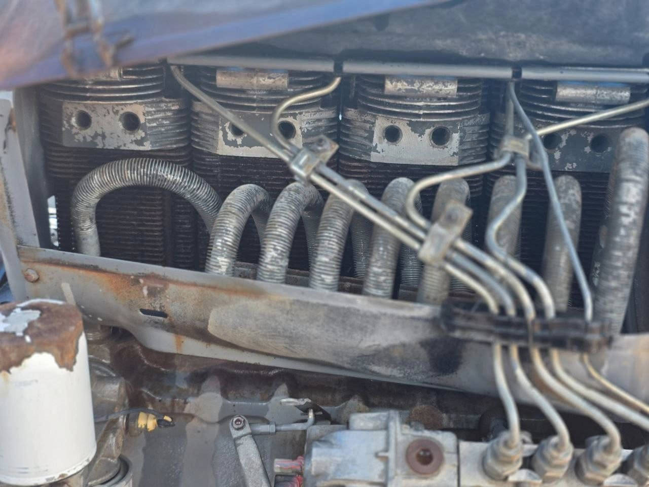 السلام عليكم للبيع دويس حلاواني كله بلادي عل شركه السعر 27ورقه وبي مجال بصيط العنوان صلاح الدين سامراء للتصال ***********
