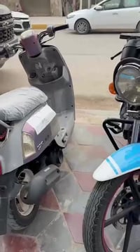 دايون • نضيفه • ٢٠٢٣