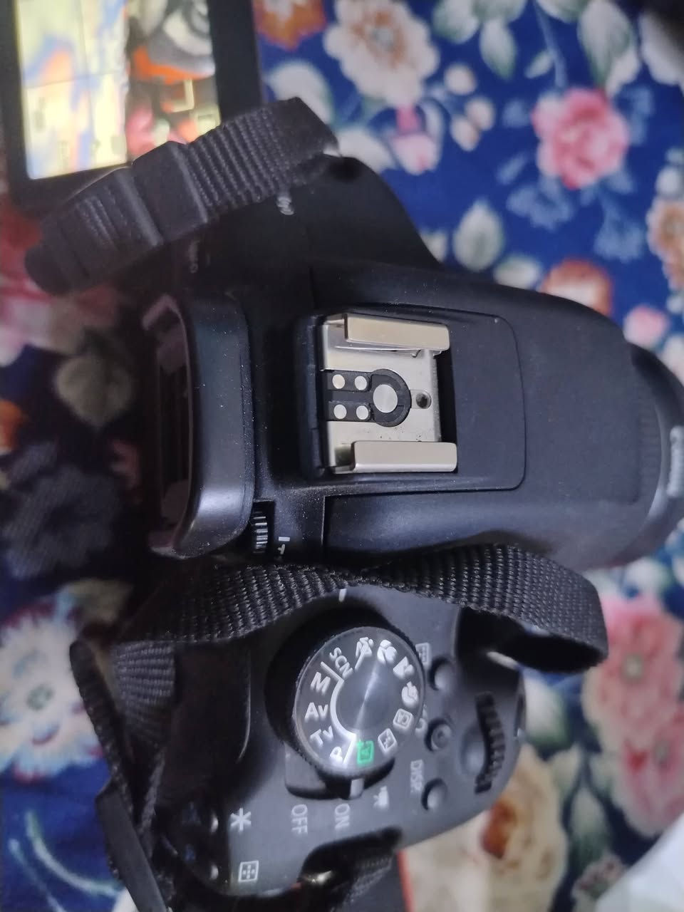 كانون 750D نضافه فول   معاه رام وحزام وشاحنه  وبطاريه   وعدسه الاصليه  السعر  450 الف مكاني بغداد


**إذا كنت صاحب هذا الإعلان وتريد حذفه لأي سبب، رجاءا أرسل رسالة إلى الدعم الفني**