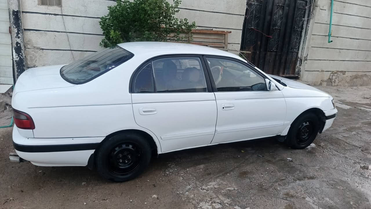 كورونا نفخ بيع او مراوس بمارك كصيف فديو موضح كلشي مكينه تبخر تبريد شغال نقص غاز منضومه توه مسويهه رقم بصره دولي سنويه31 بيهه نقوصات بصيطه كهربائيات كلهه شغاله مكاني ابو الخصيب سعرها 38 بيهه مجال


**إذا كنت صاحب هذا الإعلان وتريد حذفه لأي سبب، رجاءا أرسل رسالة إلى الدعم الفني**
