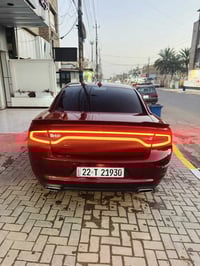 تشارجر SXT • ٢٠٢٣ • بدون صبغ