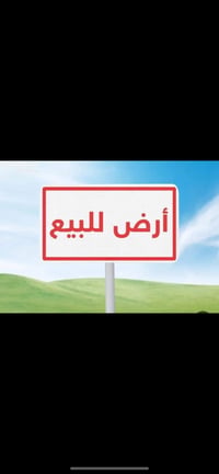 طوريج الشارع الحولي • ٢٠٠م • سند ٢٥