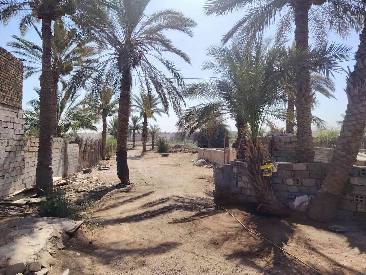 <قطعة ارض زراعي، مع بيت>
المساحه الكليه : 1500 متر،
نزال :80,
عرض:20،
مساحة البيت : 250 تقريباََ، 
السعر : 95 وبيها مجال.

للأستفسار
***********
