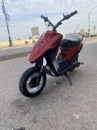 شباب تسعه للبيع ٠٧٧٢٦٧٣٧٢٣٢هاذ رقمي خابرني واني خادم