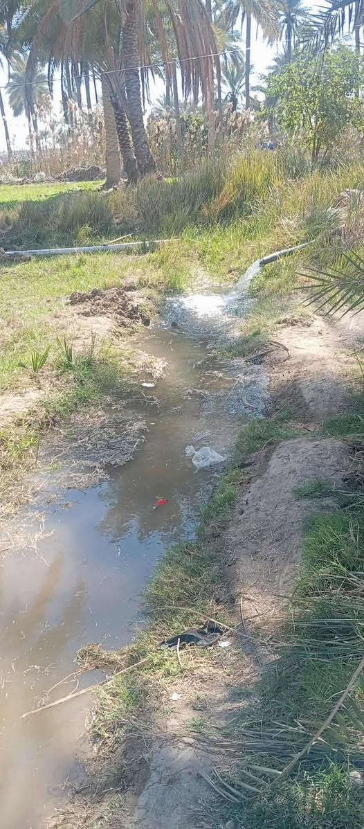 سلام عليكم كاع البيع دونم ونص سند 25تحويل 
بسمك موقع كاع المسيب الجيلاويه خدمات 
بي 50نخل خدمات كهرباء ⚡️ خط مولده مياه 
ساله مياه نهر تبليط يبعد عنه 500متر تصلح دار 
🏠 سكن ومزرعة الاستفسار عل راقم ‭

‭0771 827 6386‬
