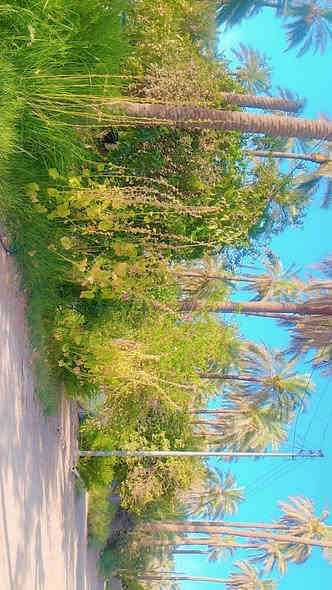 السلام عليكم
850متر طابو سند 25 تحويل اسهم وليس اقرار وجهه 18وتاخذ نزال  مغروس من اشجار ونخيل كافه الخدمات العنوان كربلاء شارع السيده زينب منطقة ابو ماشه تقع مباشر خلف مشتل العتبه العباسيه السعر وباقي التفاصيل 

***********

#الجميع
