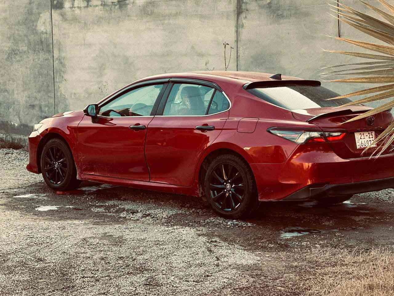 كامري 2023 وارد أمريكي Le
-سنوية وارقام جدد قبل شهر رقمتها اربيل بأسمي

-لون أحمر
-ماشيه 26 الف
-مواصفات 
ويل كب
رادارات
نقطه عمياء
تحديد مسار 
تبريد لمس 
وضعيات قياده
كشن كهرباء+كشن جلد + داخل لون احمر 
باقي مواصفات معروفه 
#الظرر مثل ماموضح بالصور  

مكان السياره صلاح الدين/الشركاط/سديرة وسطى

السعر 158 وبيها مجال قليل 

للأستفسار/ ‏‪***********‬‏
