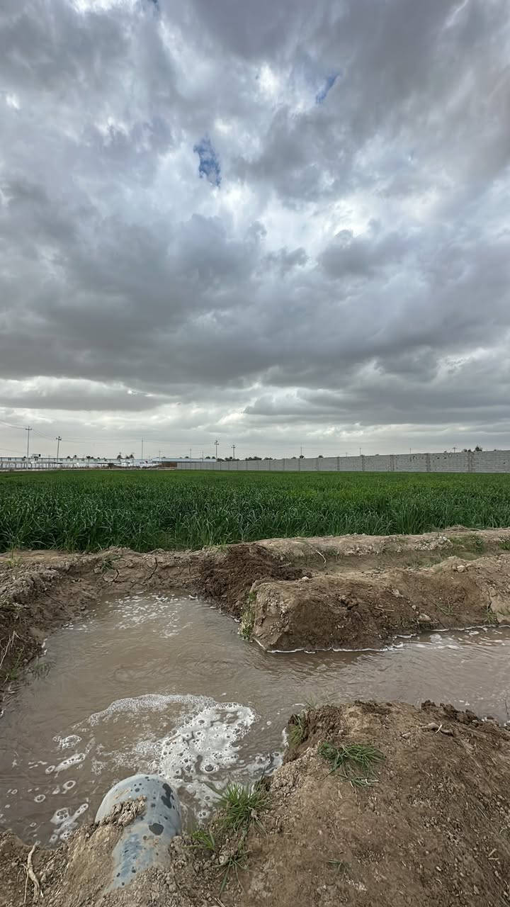🏡 أراضٍ للبيع في بابل – مباشر من المالك

📍 قرب شريفة بنت الحسن وبزل حجي علي
📍 الحلة – النيل – الوردية – الصياحية

📐 مساحات مختلفة (1000 م² ودونم)

✅ سند 25 زراعي
✅ ملك صرف زراعي
✅ تصلح للسكن والمزارع
✅ خدمات متوفرة
✅ شوارع نظامية وواجهات متعددة
✅ استلام فوري

💰 الأسعار تبدأ من 50 مليون دينار

للاستفسار:
📞 ***********
📞 ***********

