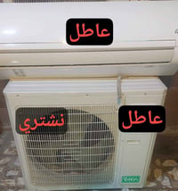 سبلت عطلان • نجيك الباب • ديوانية