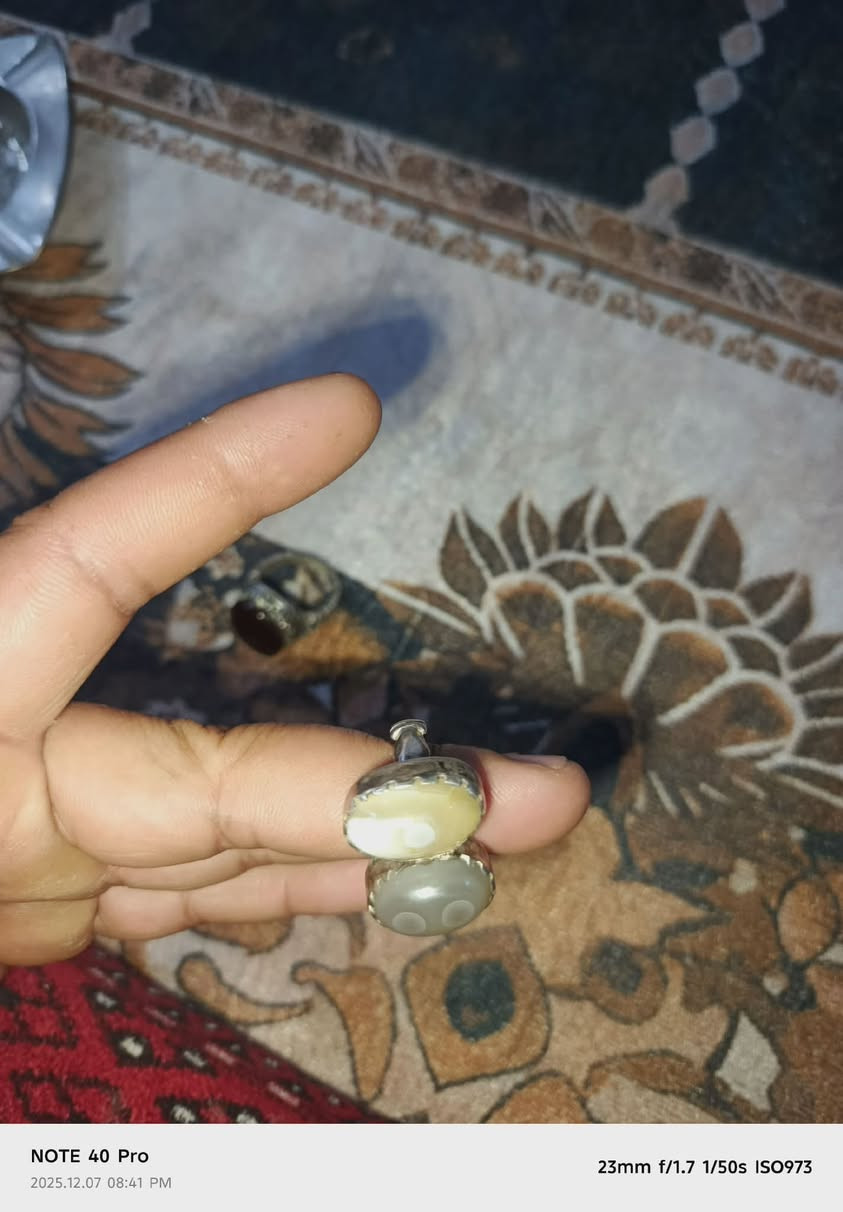 لبيع او المراوس


**إذا كنت صاحب هذا الإعلان وتريد حذفه لأي سبب، رجاءا أرسل رسالة إلى الدعم الفني**