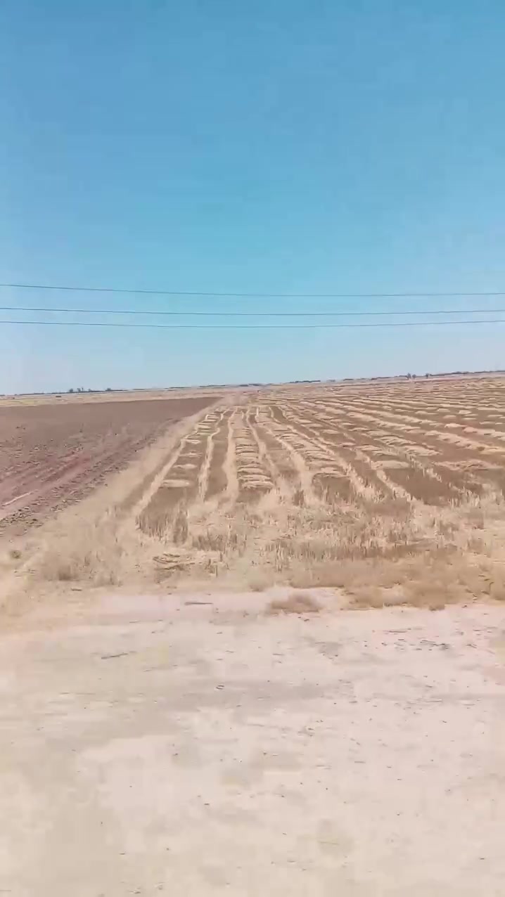 السلام عليكم يوجد برينه تعبئا حنطه ومتواجدين بكل مكان والسعر تدلل نتراهم ***********  سلام ضاهر 
*********** حمودي ياسين
