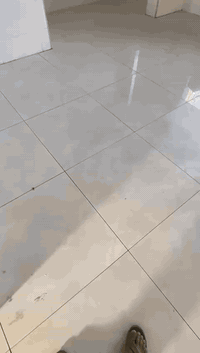 خلفه سيراميك شغل درجه اولى
***********
