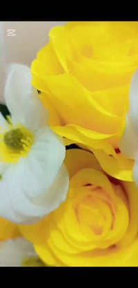 ديكور منزلي • أصفر • توصيل واسط