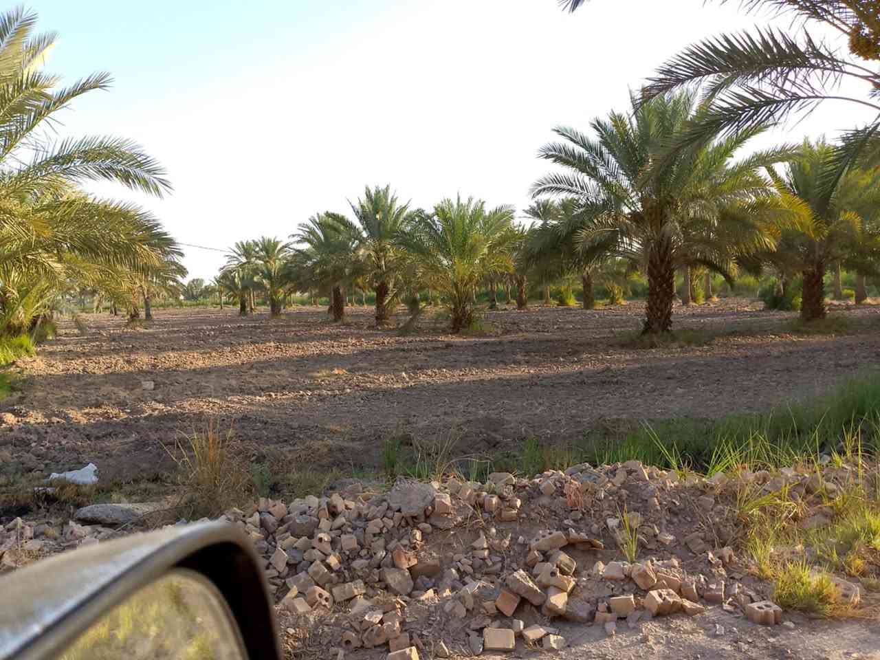 دونم للبيع طابو سند 25 واجهة 30 متر على شارعين موقع سكني مميز متوفر فيه كل الخدمات ًًًموقعه في المحاويل قرب بيت أبو الطياره يبعد عن الشارع العام مايقارب 200 متر والأرض مزروعة نخيل وهذه صور الأرض تحويل مباشر في طابو المحاويل السعر والاستفسار والمعاينة الاتصال صاحب الأرض مباشرة على 
الماسنجر 
00201040175849 واتساب
***********
