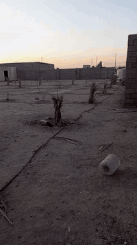 سلام عليكم نص دونم للبيع مسيج وكهرباء واصله للقطعه ماء تحليه وماء بئر سعر 28وبيه  مجال قليل مكان مكصب جاي من حسينيه الذهبيه ***********
