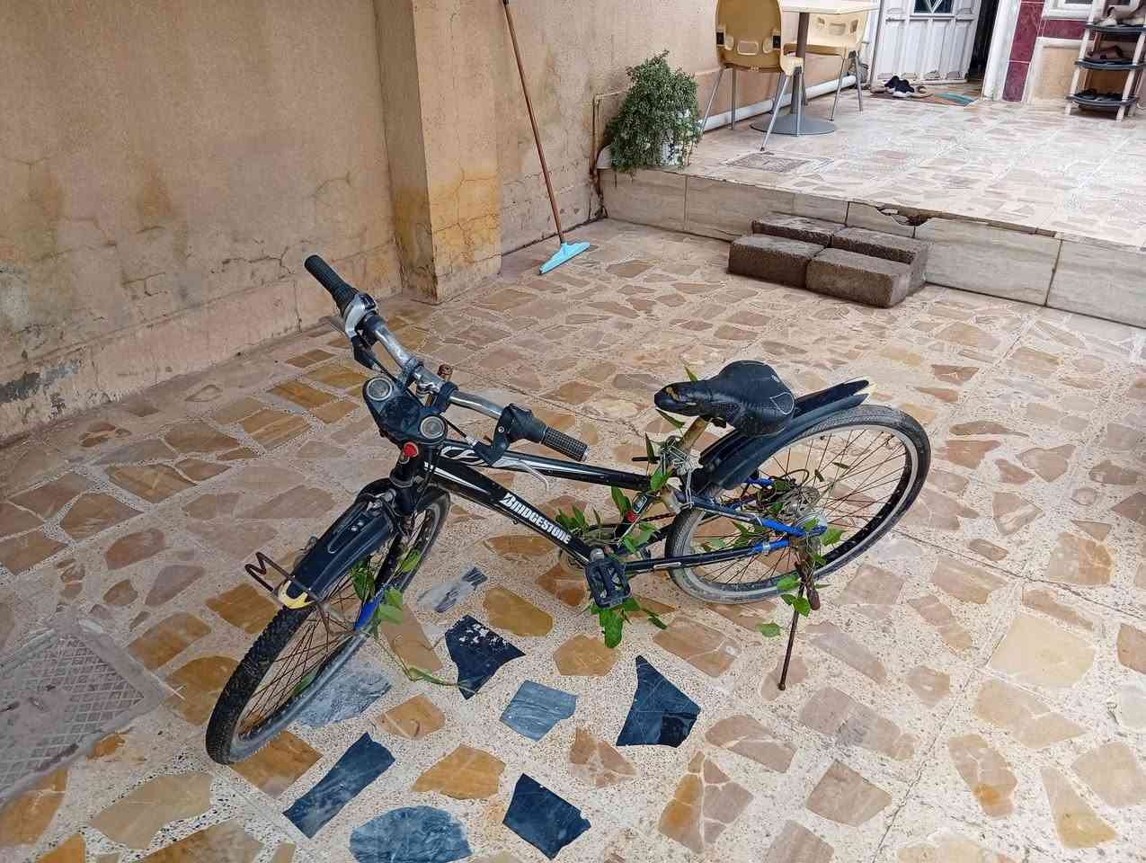 طباخ كريازي بلادي نظيف سعره 200 وبي مجال
تخم بلوك نظيف 7 مقاعد وويا وجه سعره 200 وبي مجال 
نافوره سعره 60 وبيها مجال 
دراجه شحن بطاريات جديده سعرها 200 وبيها مجال 
بايسكل باله نظيف سعره 50 
للاتصال ***********
