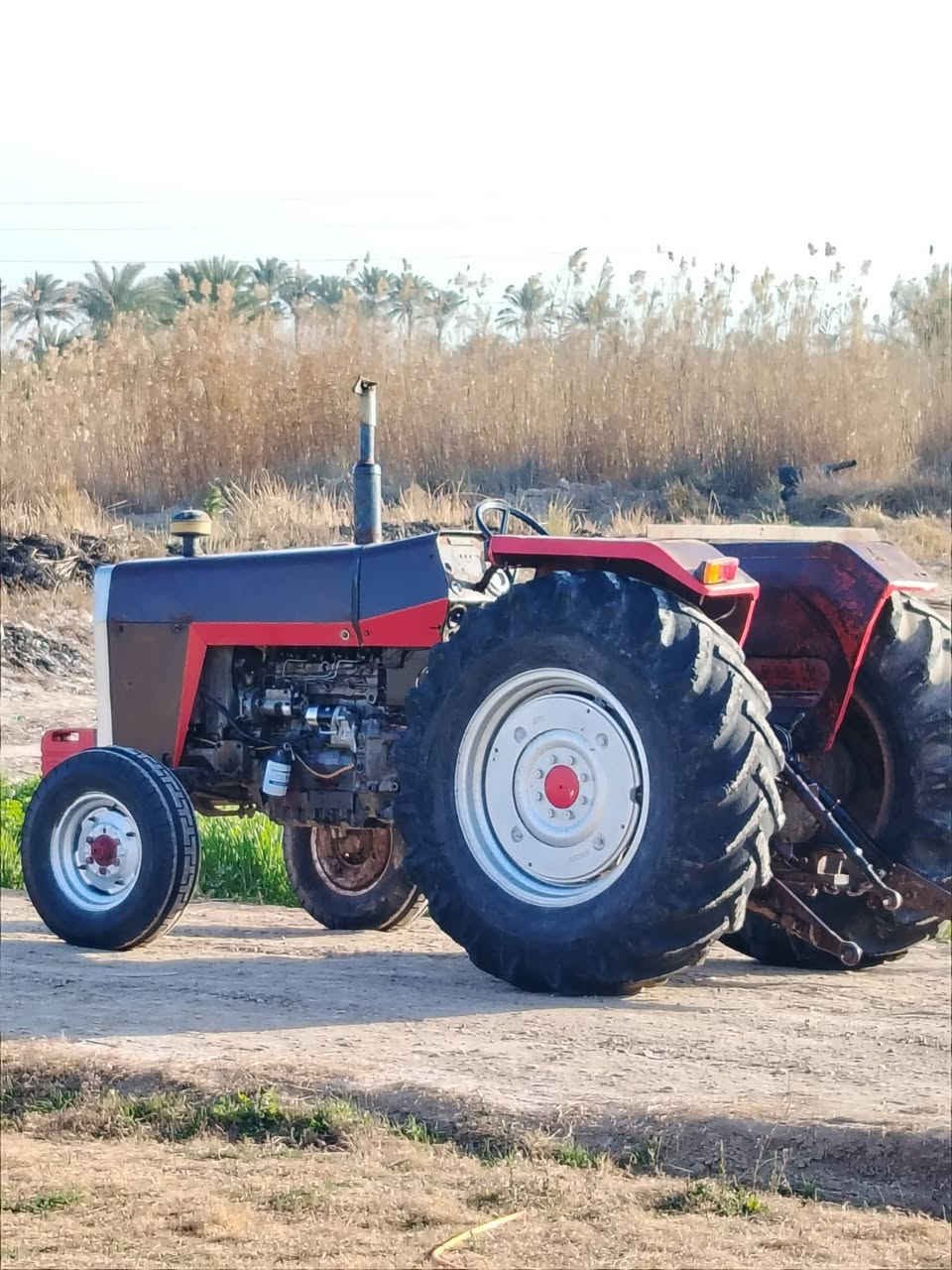 السلام عليكم ورحمة الله وبركاتة مكينة فوركسن للبيع حجم275المكينة نظيفة ومكفوله كير ومحرك واكسن وهايدروليك نكرة سلف العنوان بغداد المحمودية خط السريع جسر الرابع للأستفسار اكثر الأتصال ع الأرقام التالية ***********//***********
علمن مكلف بنشر الرجاء عدم التعليق او خاص
