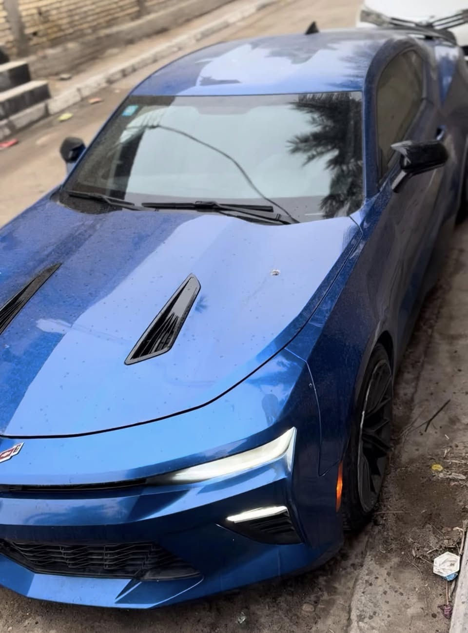 مرحبا شباب
كمارو ١٨ للبيع ٦ سلندر حادثهه جاملغين وبنيد شرط الدواخل بدون اي ضرر رقم بغداد الجديد بأسمي
السيارة عليهه برمجة يم ايكل وتفريغ ودبات ريمونت صوتهه يخبل وحيل قويه ما تنلزم حته عالبانزين العادي مبرمجة
عليهه ادامة للمحرك والكير ومنظومة الحماوة كلهه جديدة
تخم تاير جديد ومابيهه نقوصات
ماشيه ١٢٤ الف كيلو مو ميل
عارضهه 135 وبيهه مجال
مكاني بصرة
***********
