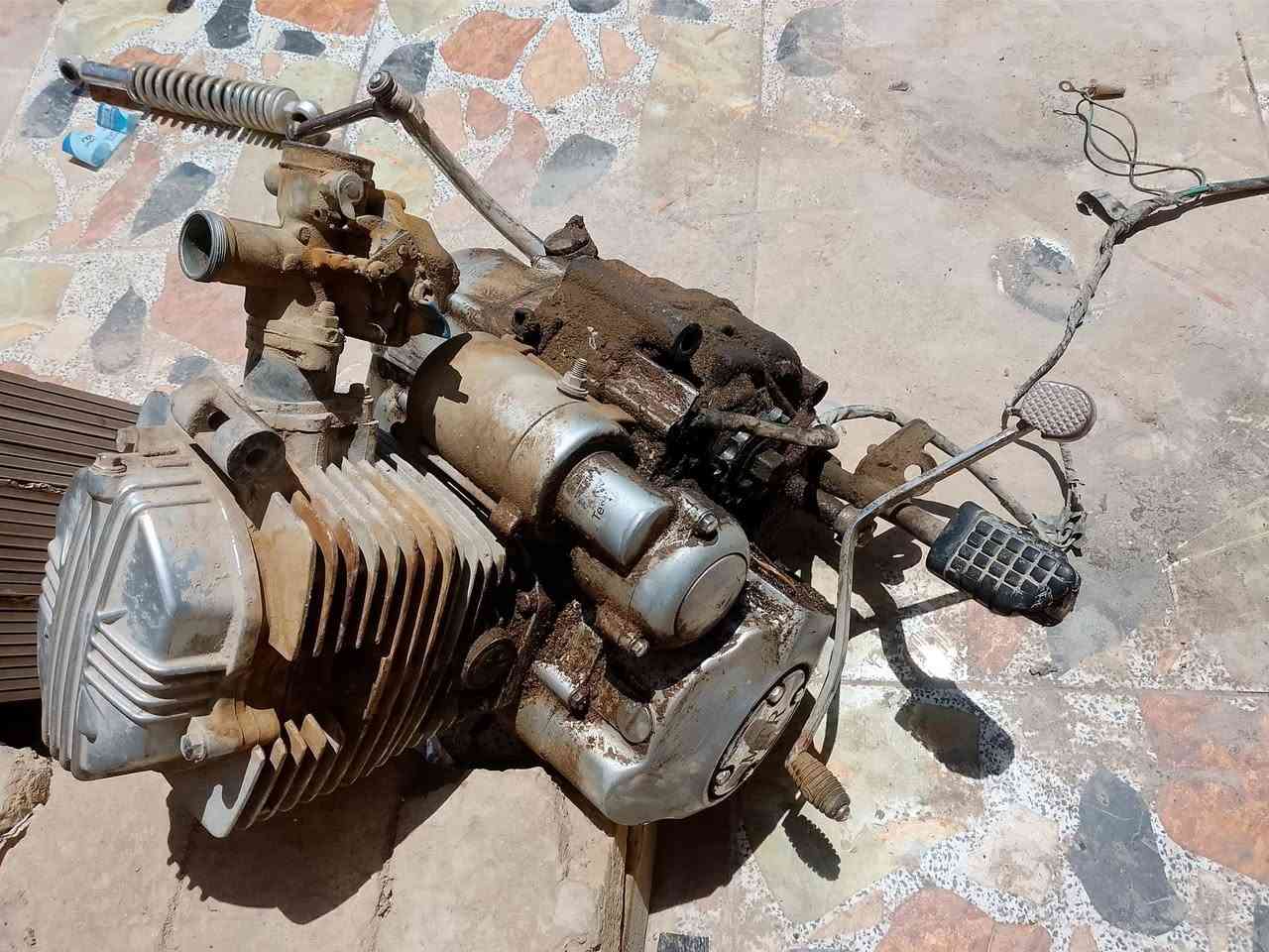 سلام عليكم  مكينه مال ستوته لا تنقيص ولا تبخير مكينه تخبل عوزه بس غسل سعر 70و  بيه مجال وذا كو مراوس بمكينه ربعه كير عادي ب مكاني نجف ابو صخير وره مدينه لعاب رض سعيده


**إذا كنت صاحب هذا الإعلان وتريد حذفه لأي سبب، رجاءا أرسل رسالة إلى الدعم الفني**