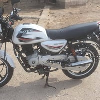 بوكسير 2023 • أوراق أصلية • العزير