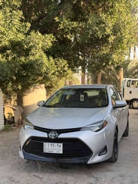 كورلا LE • ٢٠١٩ • بابل