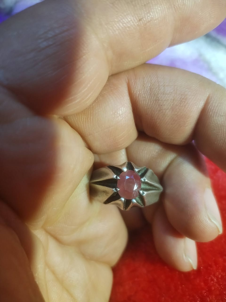 ياقوت للبيع بغداد مدينة الصدر
***********
