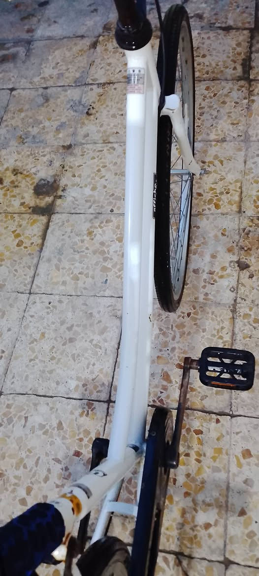 سلام عليكم شلونكم شباب باسكل للبيع حاويه نضيف ياباني مكان نجف حي الجمعيه قرب كراج بغداد مقابل حسن رحم ابل كباب سعره 100وبي مجال


**إذا كنت صاحب هذا الإعلان وتريد حذفه لأي سبب، رجاءا أرسل رسالة إلى الدعم الفني**