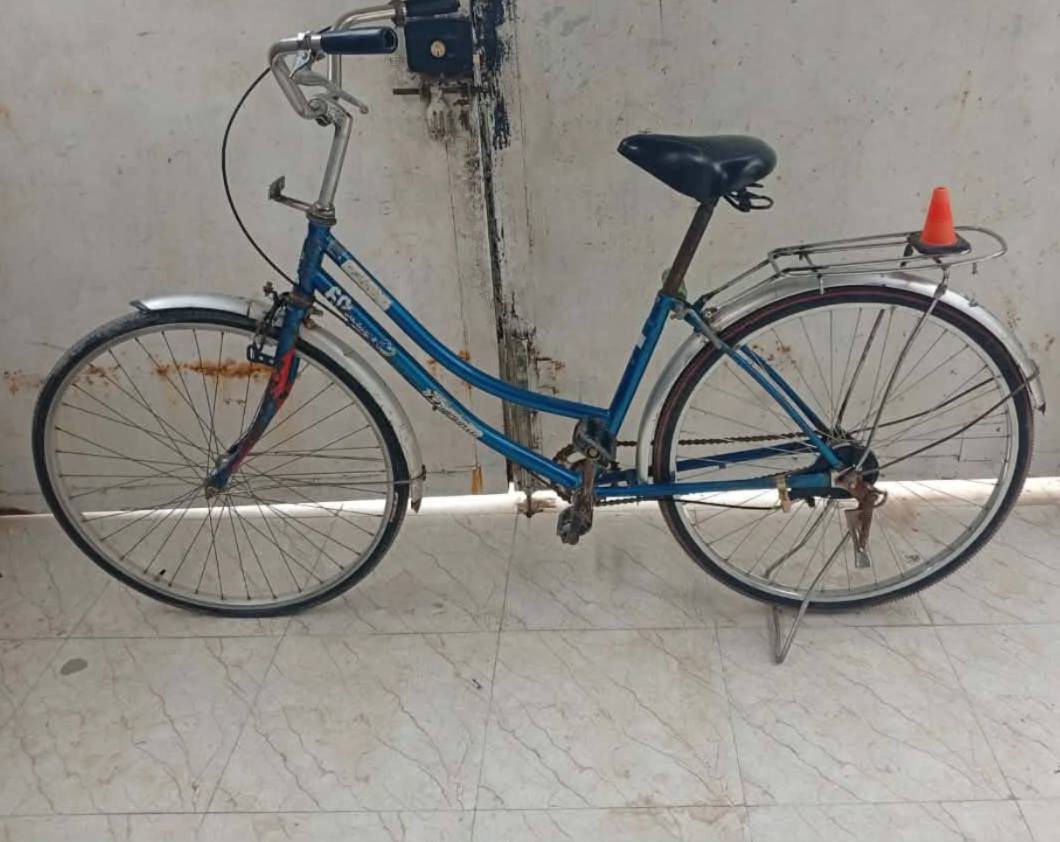 سلام عليكم باسكل لبيع حجم(26)

ما ناقصه شي باسكل وياه هديه سله اماميه
الباسكل سعره (60الف وبي مجال لطيبين)


**إذا كنت صاحب هذا الإعلان وتريد حذفه لأي سبب، رجاءا أرسل رسالة إلى الدعم الفني**