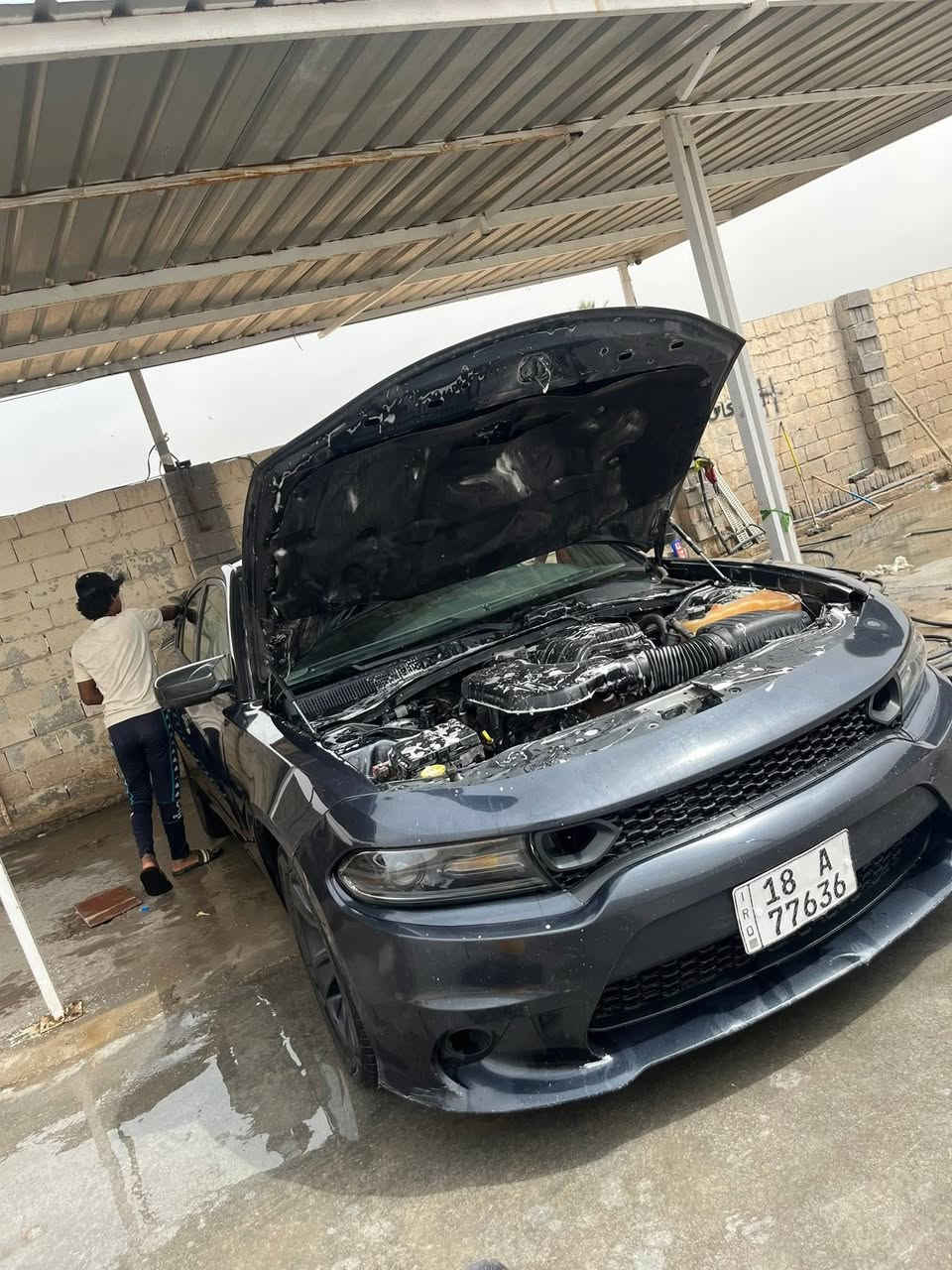 جارجر sxt محدثه srt داخل وخارج موديل ١٦ رقم بابل سياره ضربتها بس جاملغ وشبر بنيد بدون ايربكات سونارها وضربتها مال امريكه موجوده معروضه (١٦٥) شعدك بيع مراوس تعال 
***********
