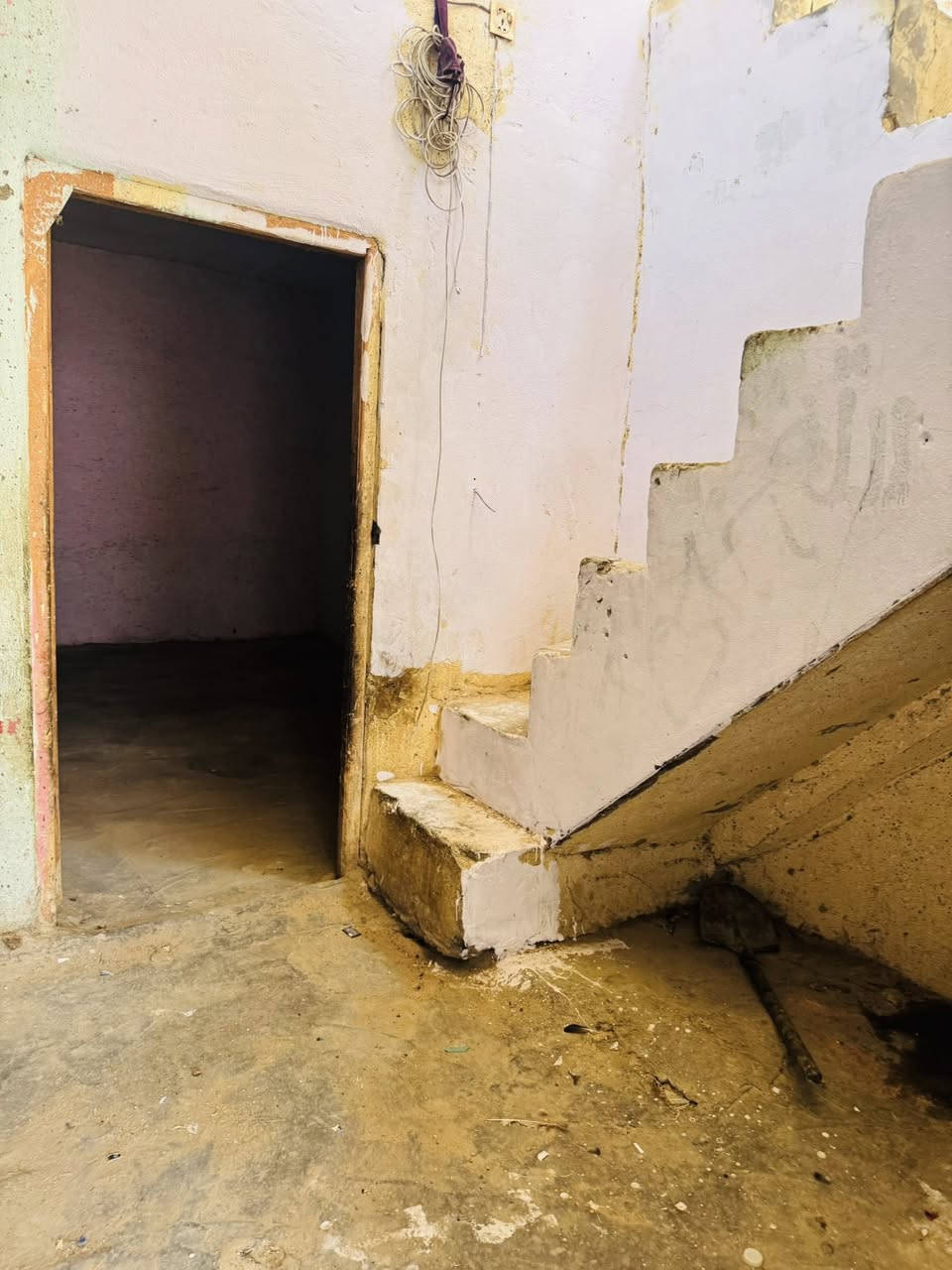 وفر مكتب الحجيمي للعقار بيت 🏠
بيت 100 متر مناسب جدا البيت عوزه شغلات بسيطه صبغ ارضيه 
البيت طابو زراعي سعره مناسب جداً قرار محكمه 
غـــــــرفــتــيـــن صــــالـــه اســـتــقــبــال مــطــبـــخ تـــخــاريـــج 
بناء بلوك سقف عكاده عنوان البيت شارع المطار القديم خلف اسواق الامير منطقته كلش حلوه شوارع عريضه 
سعر البيت فقط 15 مليون 
للاسـتـفـسـار *********** واتــســاب +اتــصـال
