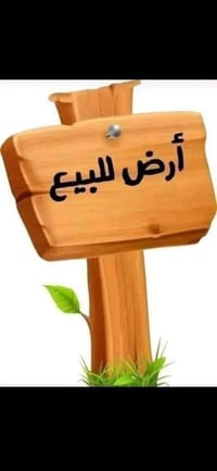 نابلس • طابو • ٣٠٠م