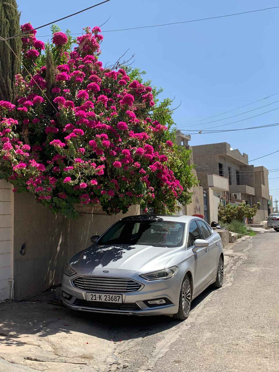 فورد فيوجن تيتانيوم 2018  مكينه 2000 فول مواصفات رقم سليمانيه 
 تحويل وكاله بكيفك بيها قطعتين جاملغ + بنيد مكان سياره بغداد 
بيع او مراوس حسب القناعه
***********
