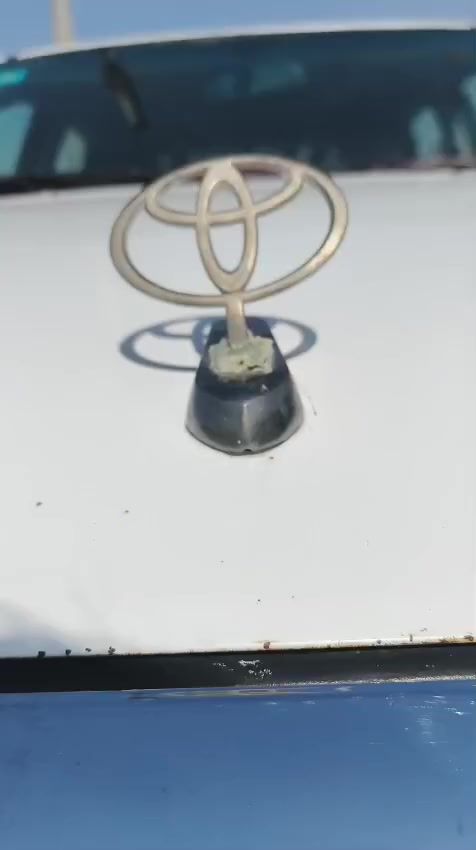 فلاونزه موديل 2014
شاي 19سعودي
الرقم قادسية(الديوانية)
سيارة بأسمي تحويل ثاني يوم 
محرك مفتوح 
سيارة بيه ضربه صفحة سايق فوك تاير الامامي
تبريد ثلج تايرات جدد
السعر 150 
العنوان البصرة الزبير 
*********** اتصال وبيه واتساب
