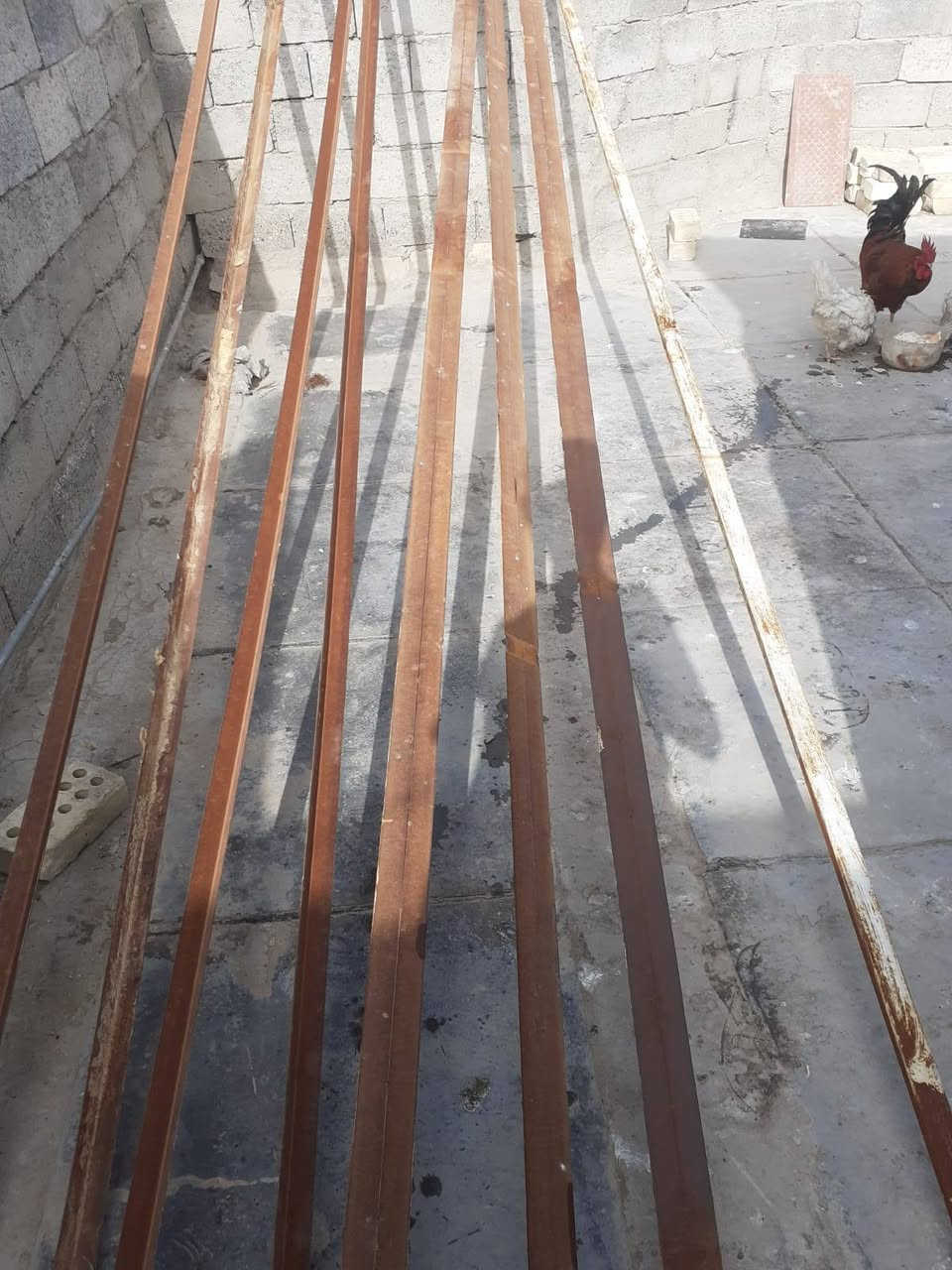 مكاني بغداد شعب سعر كلهن 90 طول 5 مترات تقريبا


**إذا كنت صاحب هذا الإعلان وتريد حذفه لأي سبب، رجاءا أرسل رسالة إلى الدعم الفني**