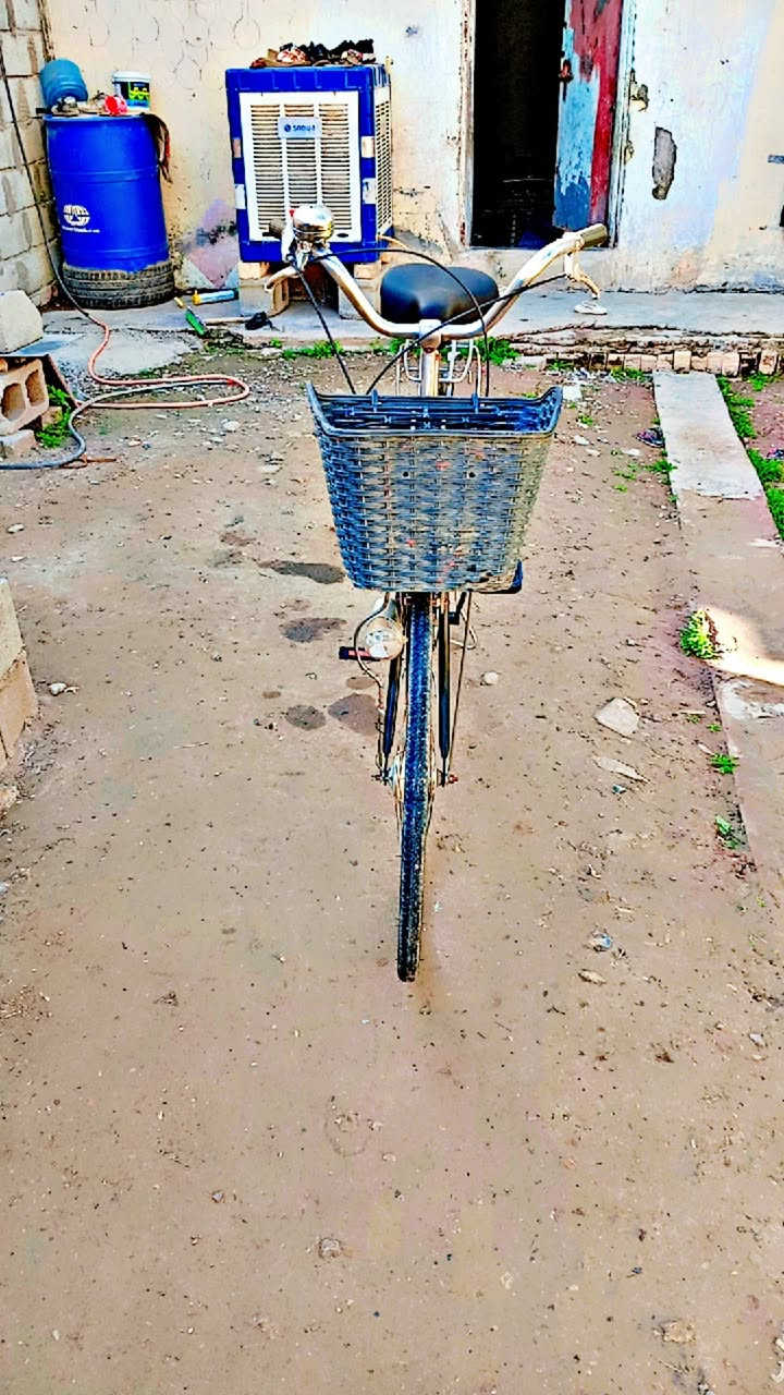 السلام عليكم 
بايسكل نضيف الحجم 26 اللون اسود بلاد 
تايرات وجوابه جدد وياله لشه عدلات مطابقات مختمات
بداله وحساس شغالات 
السعر خاص 
العنوان بعقوبة التحرير 
الشراي يجي خاص ودلل 
***********
