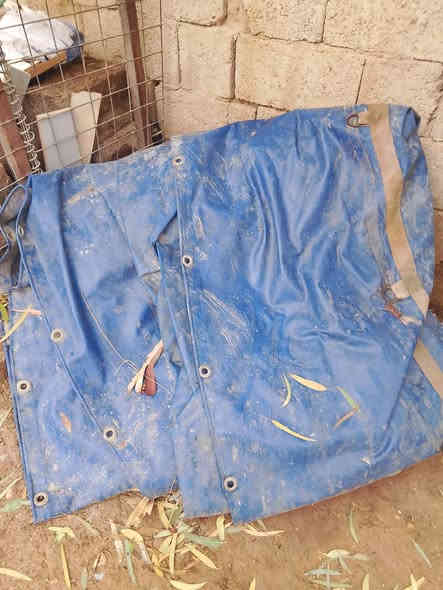 جادر مطري للبيع
مال سحال شبخه اربعه ونص
ب150 وبي مجال مكان ديالى خان بني سعد
