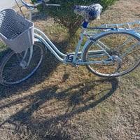 بيسكل • مقاس ٢٦ • للبيع