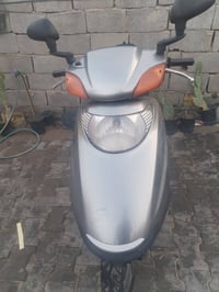 سبيسي ياباني • جديدة ناعمة • الكوت