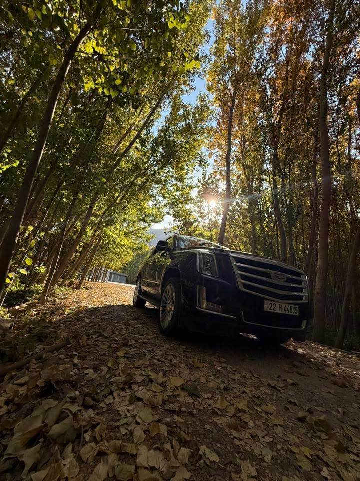 سكاليد 2018 جديدة كلش السيارة بأسمي للبيع خليجي وكالة المنصور رقم أربيل فول مواصفات اي نقص مابيها السعر 380 الاستفسار *********** البصرة, العراق
