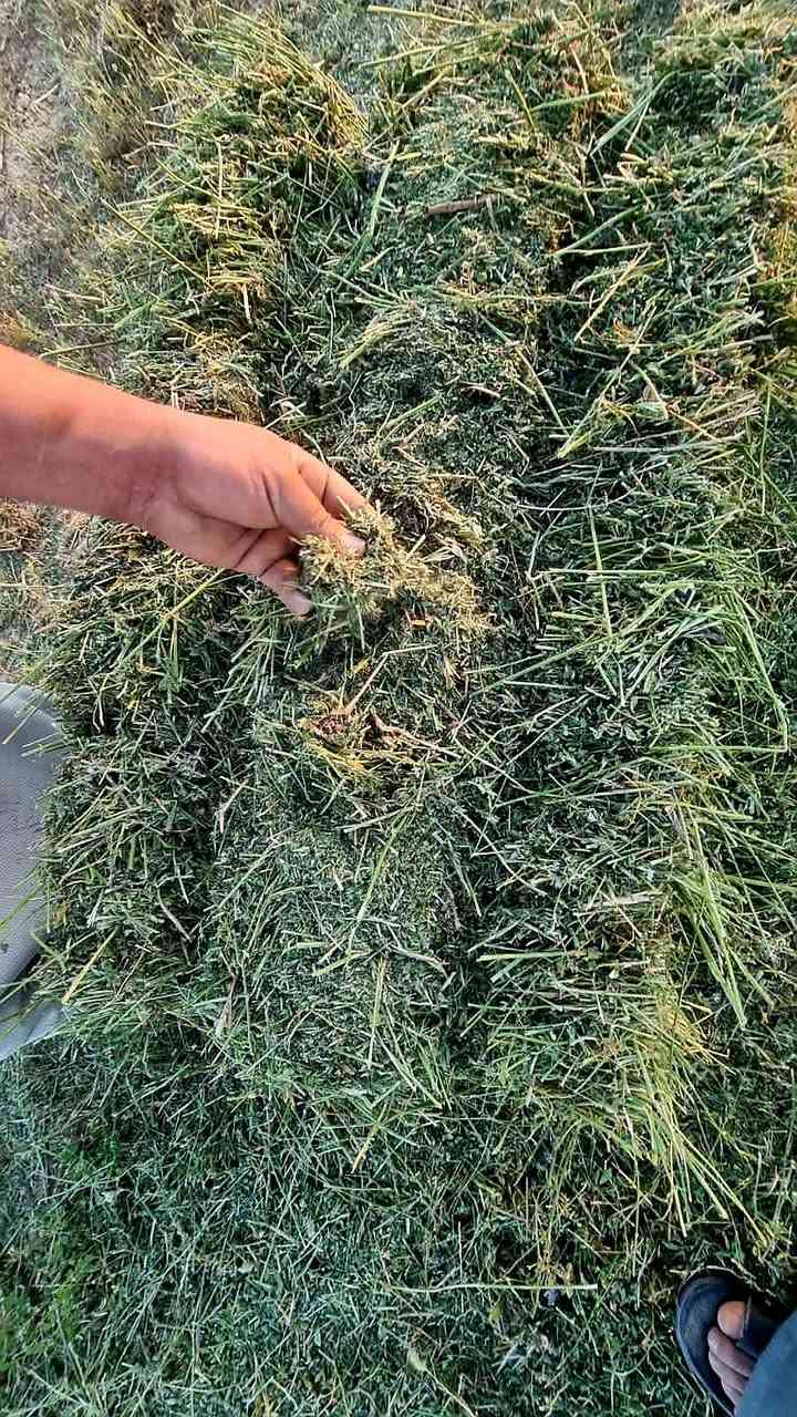 كبس جت درجه اولى 
كبس نضيف خالي من الشوائب 

طول الكبسه ٨٠ وزن من ١٥الى ٢٠ كيلو 
كبس ضاب مو راخيه 

المكان كربلاء 
للتواصل ***********وتساب واتصال
