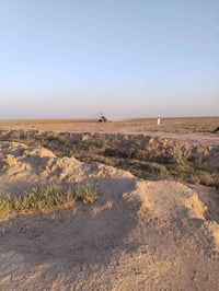 ديالى بلدروز • ٥٠٠٠ دونم • مي سقي