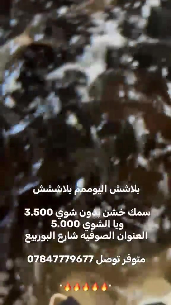 == علوة الكوفه المركزيه ==

متوفر سمك خشن 🐟

_سعر الكيلو 3.500 
_ويا الشوي 5.000 

سمك اقفاص درجه اولى
وشوي رقم واحد 

_العنوان الصوفيه شارع البوربيع _

بأدارة صالح العلواني:  *********** #الرمادي
 #الانبار @إشارة
