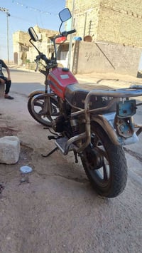 جونده • مكفول • تبديل