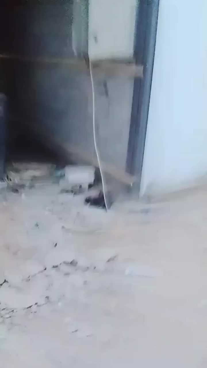 السلام عليكم تعلن شركة البيت الراسخ للتطوير العقاري 
كافة أنواع الديكور 
كافة أعمال السندويج بنل 
منظومات الكاميرات 
كافة أعمال الحدادة
تئسيسات كهربائية 
تئسيسات صحية
***********
