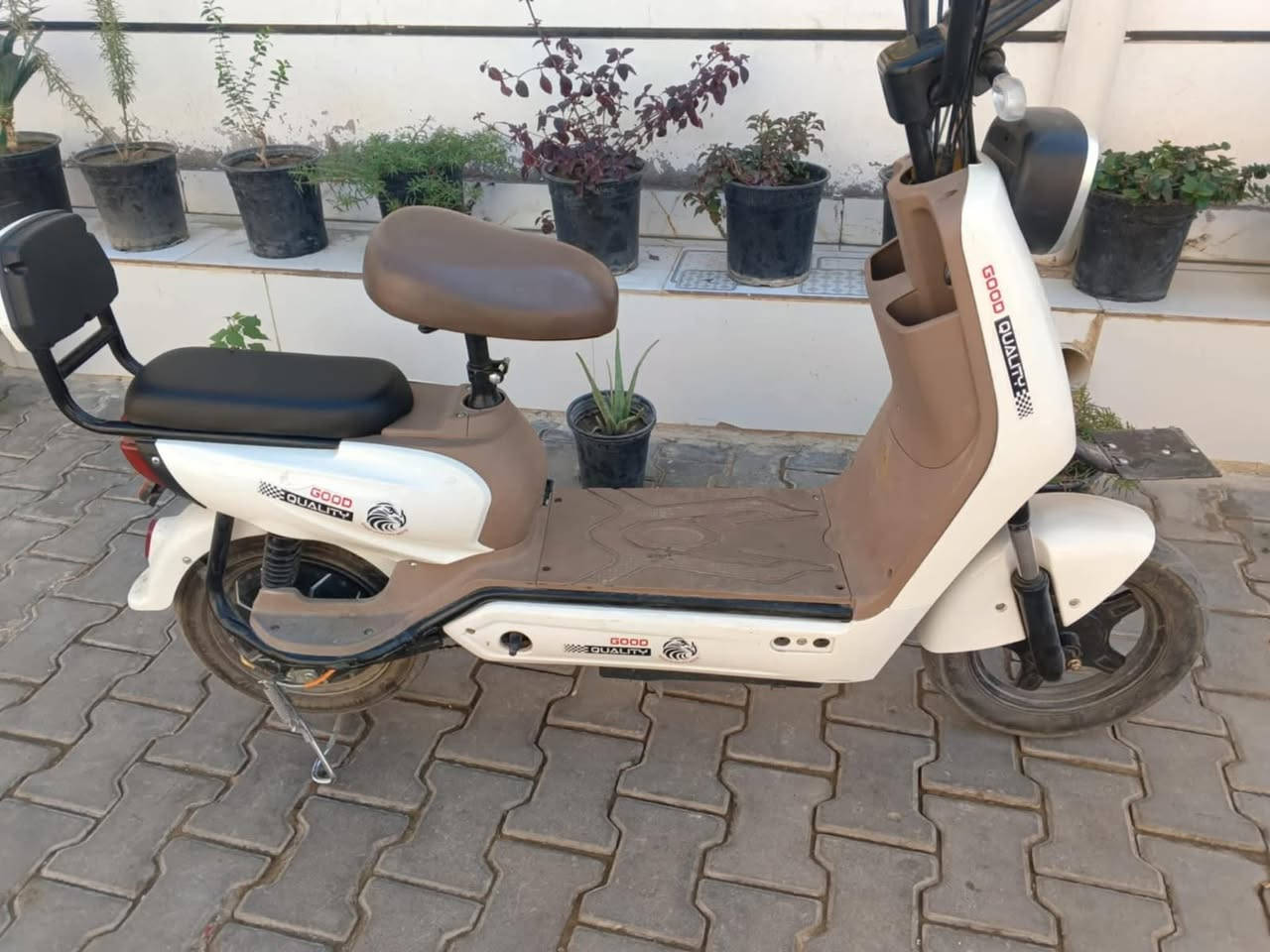 دراجة شحن حجم 16

سعرها 300 وبيها مجال بسيط 
عنواني كوت الكريمية

***********
