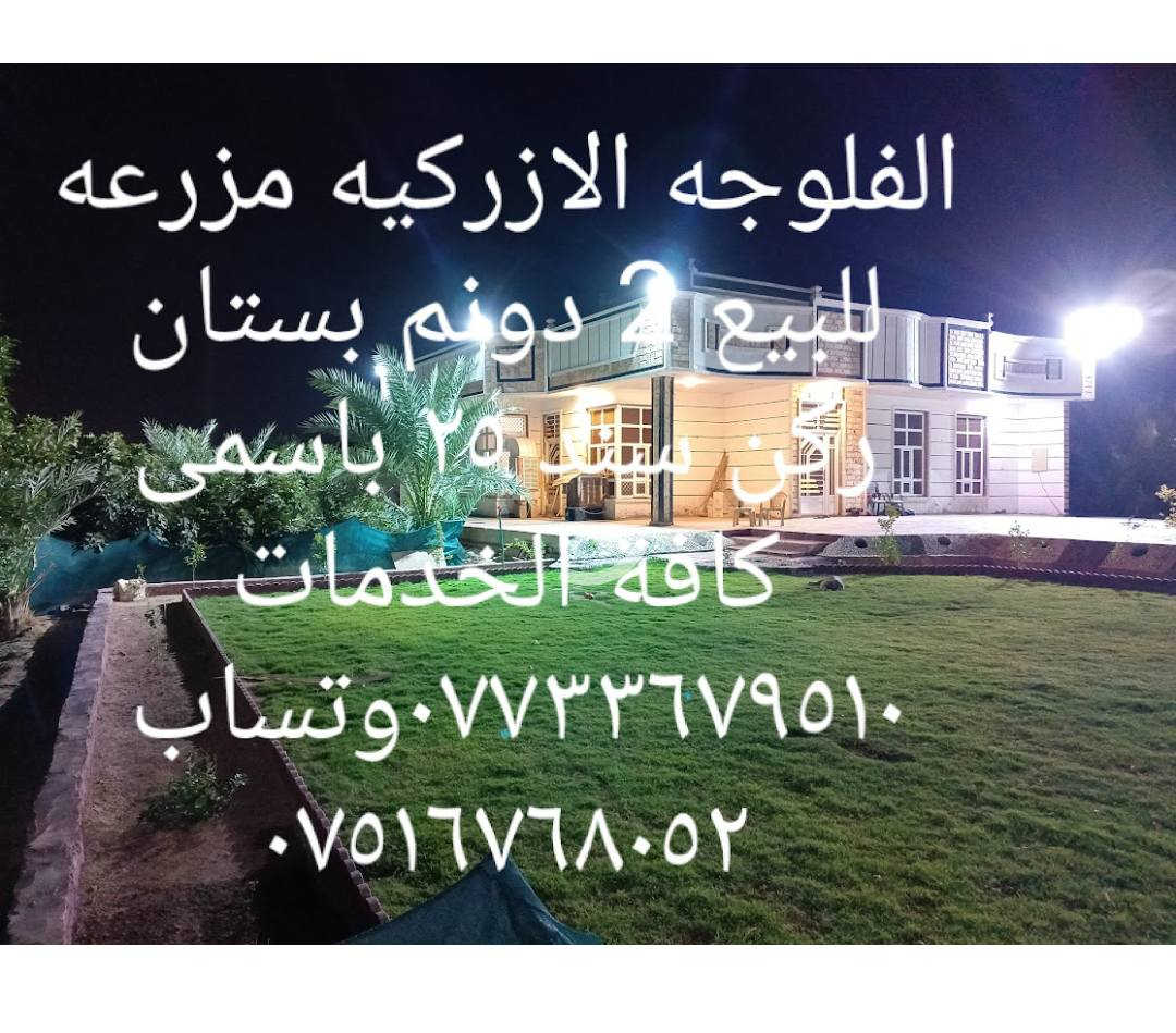 الفلوجه الازركيه بين الفلوجه والصقلاويه السعر ٣٢٥ مليون
 2 دونم كافة الخدمات تبعد عن الفلوجه ١٢ دقيقه وأقل   مع بيت حديث بناء طابوق سنه ٢٠٢٤ البيت فيه بعض النواقص البسيطه
الارض مسيجه بالكامل سند ٢٥ باسمي *********** أو ***********
