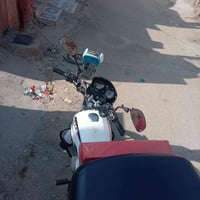 بوكسر • ٢١ • مرقمه باسمي