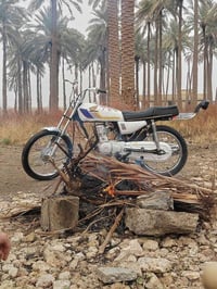 دراجة نارية • موديل ٢٤ • شلامجه