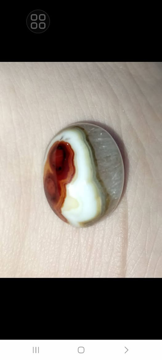 للبيع كله اصلي


**إذا كنت صاحب هذا الإعلان وتريد حذفه لأي سبب، رجاءا أرسل رسالة إلى الدعم الفني**