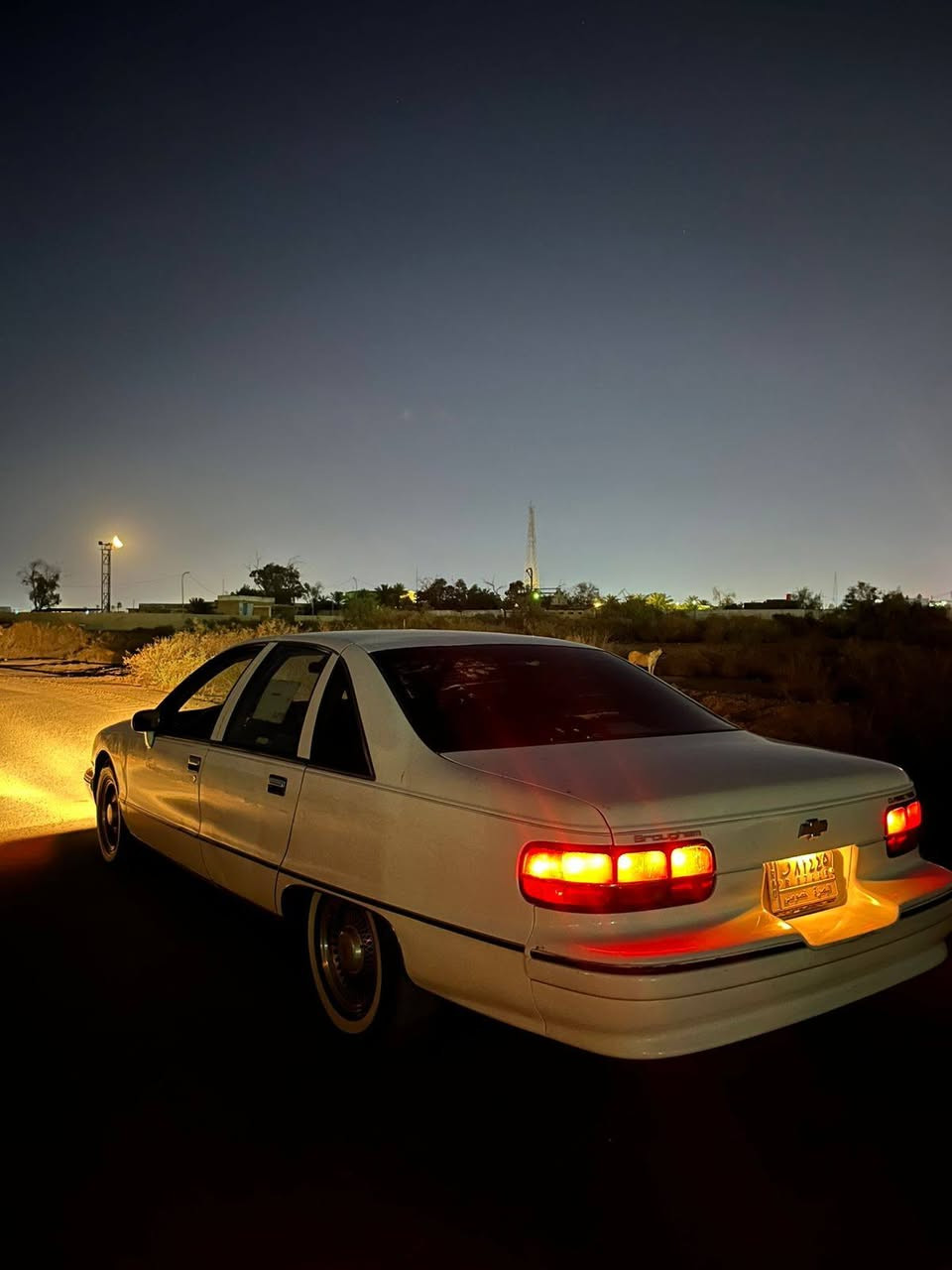 السلام عليكم شلونهم الشباب 
للبيع دولفين موديل ١٩٩٢ مكينه ٣٠٥ 
السيارة ماشية ٢٧٠ الف كيلو خليجيه 
مصبوغه عام للجماليه بدون ضربه بدون معجون كفالة شواصي لغود كهربائيات 
شباب السيارة بأسمي تحويل ثاني يوم رقم بصره مكاني البصرة الجبيلة 
السيارة كهربائياتها كلها شغاله حتى تحكمات الكشنات شغاله   
المكينة بيها تبخير خفيف ونشطه بشكل وانا مسافر بيها وناعمة وما عليها اي شي
عليها سستم صوت 
تخم تاير جديد خط ابيض 
حدادة جديدة 
گير جديد
كشنات جلد بلاد 
تبريد تدفئة شغال 
محولة فانات 
السيارة كلش نضيفه ما بيها خياس بالبدي عدا مكان واحد بس بيه شي قليل 
سنتر لوك ريمونت 
السيارة جاهزة ومال جناي وسفر وكاملة ع اخر شي ومصروف عليها هواي وماكو اختها بهيج موديل 
السعر ٧٠ وبيه شي قليل للشراي والجناي الشراي يتصل ويدلل 
رقمي ***********
